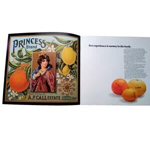 Sunkist Fruit Label History Brochure Foldout Great Graphics Easy To Frame Art